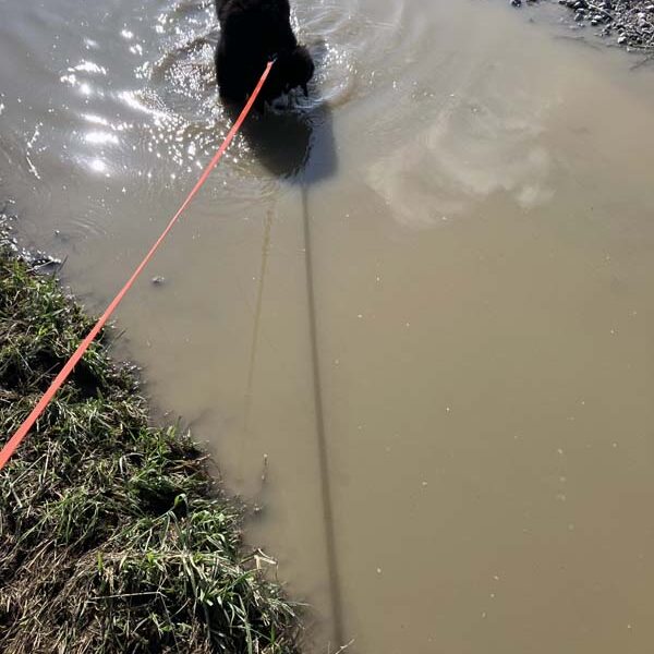 Dreckige Wasserpfützen. Genau mein Ding.