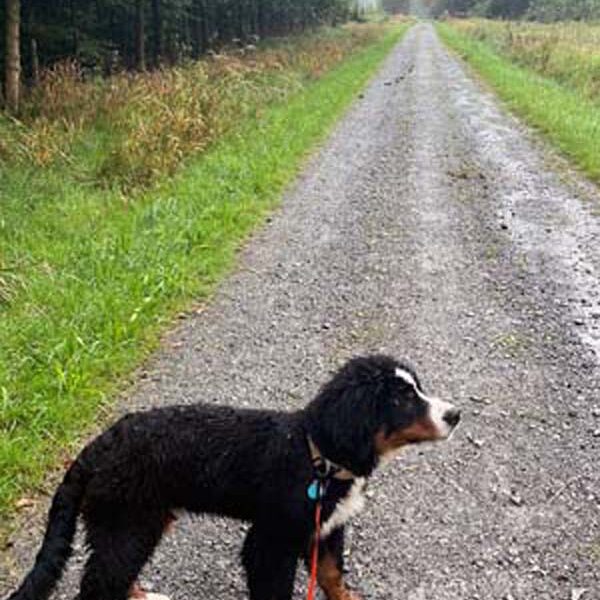 Wandern im Regen. Macht irre Spaß...