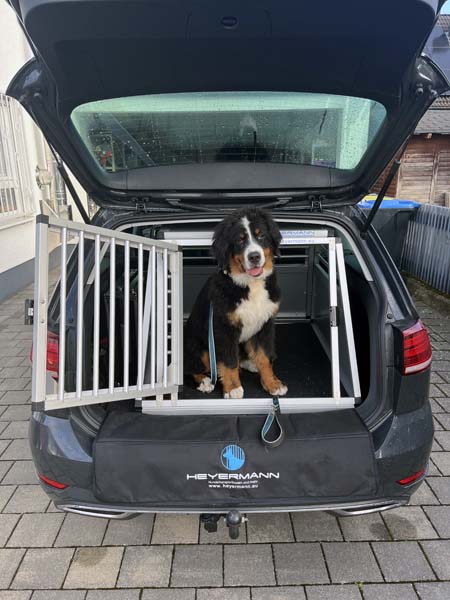 Meine neue Hundebox. Unzerstörbar? Wir werden sehen...