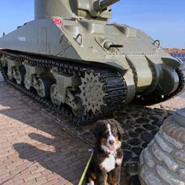 Panzer am Strand? Cheffe sagte irgendwas von D-Day. Ich hab nix verstanden.