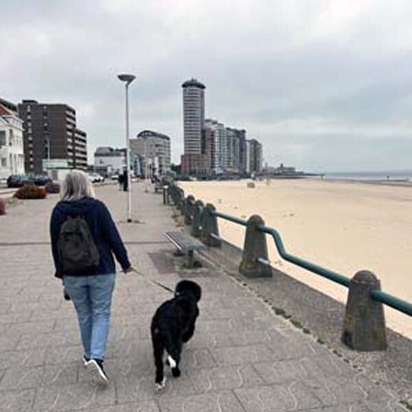 Besuch in Vlissingen. Die wollen keine Hunde, wir waren schnell wieder weg.