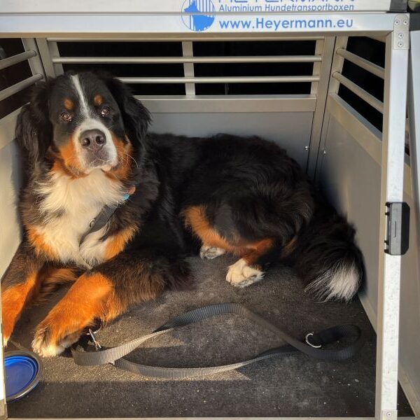 Auf dem Weg zur Klinik.