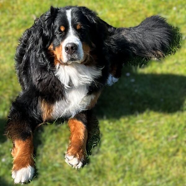 Ein Portrait? Klar, stehts bereit :-)