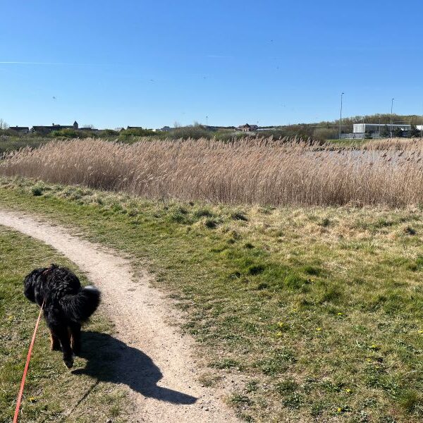 Ein Morgenspaziergang bei Traumwetter...