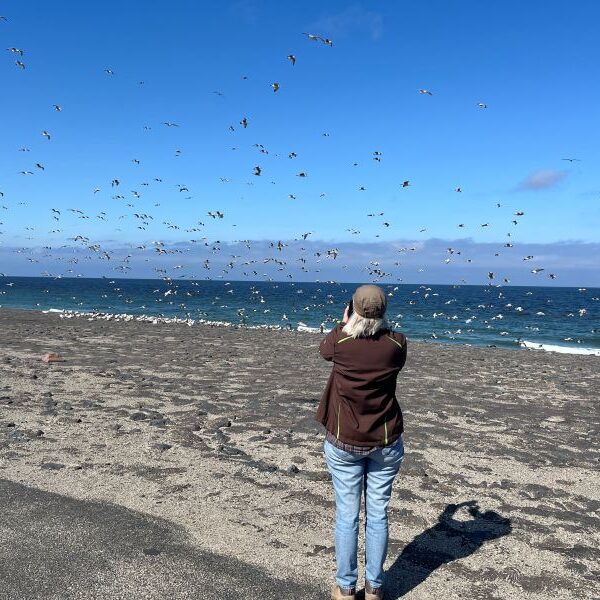 Chefin macht für mich das Abendessen klar...dachte ich...