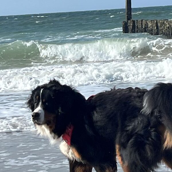 Gefährliche Brandung. Nur was für die ganz Harten...