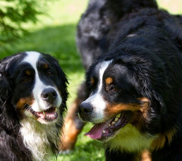 Mama und ich...