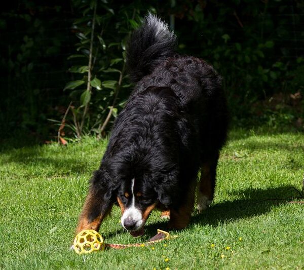 Spielen bei Mama und Gretel..