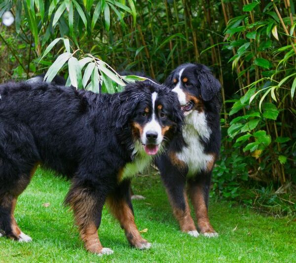 Ich und meine Gretel.