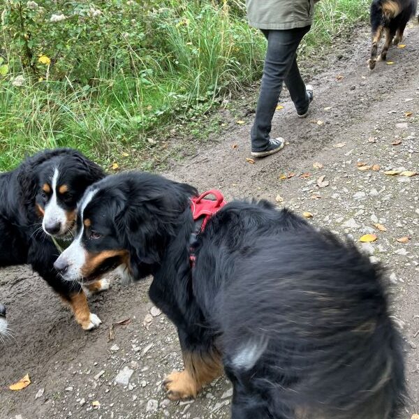 OK, immer ein Blick zurück zur Chefin. Damit ich sie nicht verliere...