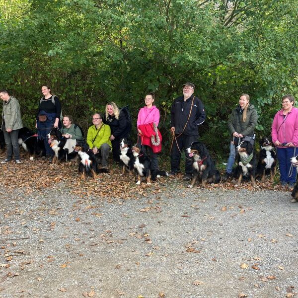 Zum Abschluss machen wir immer ein schönes Erinnerungsfoto...