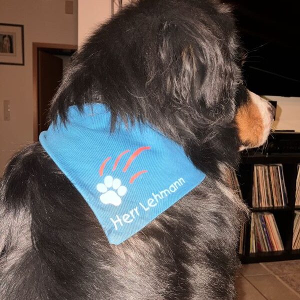 Mein Halstuch, soll mich schick machen...