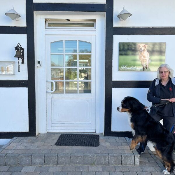 Hier will ich schnellstmöglich ins Hundehaus zum spielen.