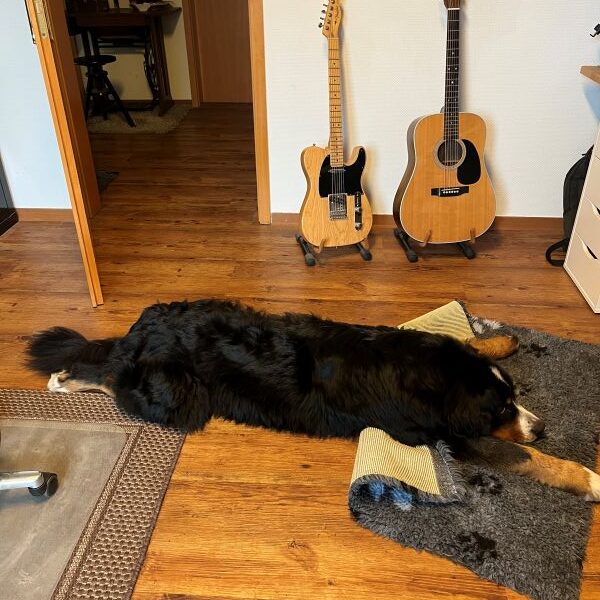 Zu Hause wird sich dann ausgiebig ausgeruht.