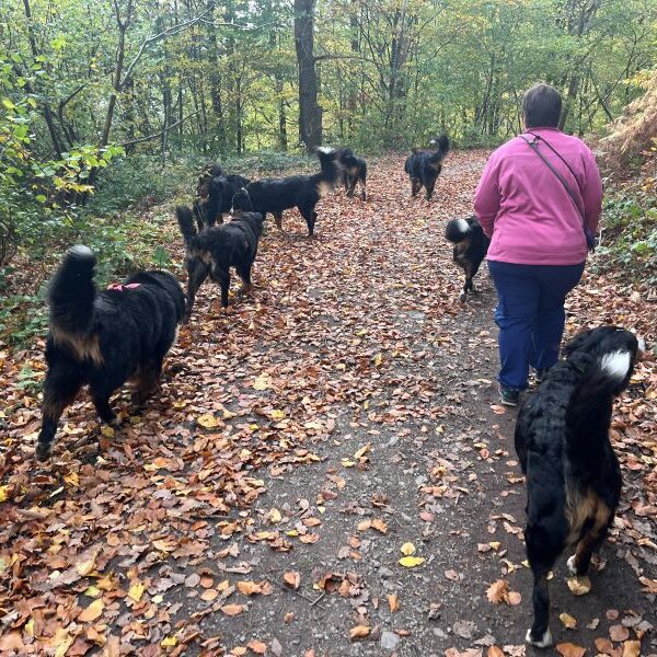 Herrlich mit meinen Freunden zu wandern...