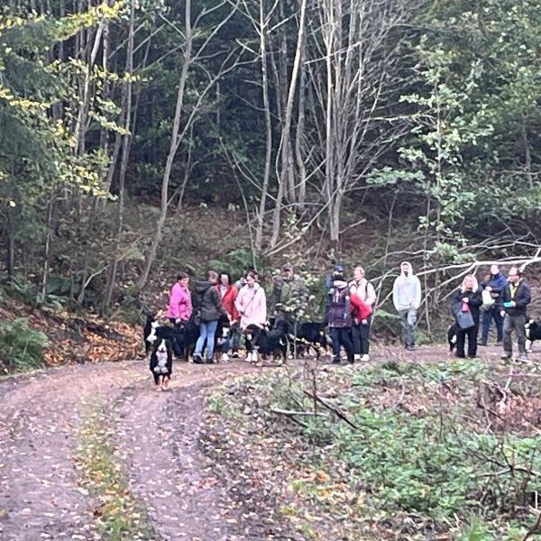 Die Wanderung mit dem Bernerrudel.