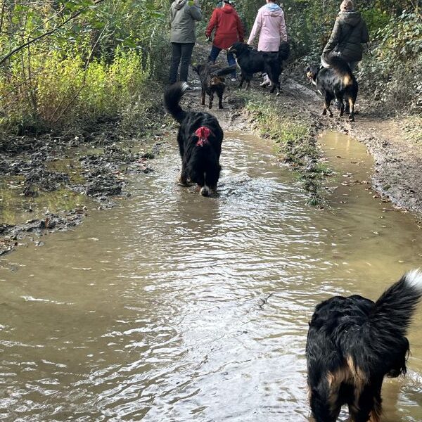 Auch eine Riesenpfütze konnte uns nicht stoppen