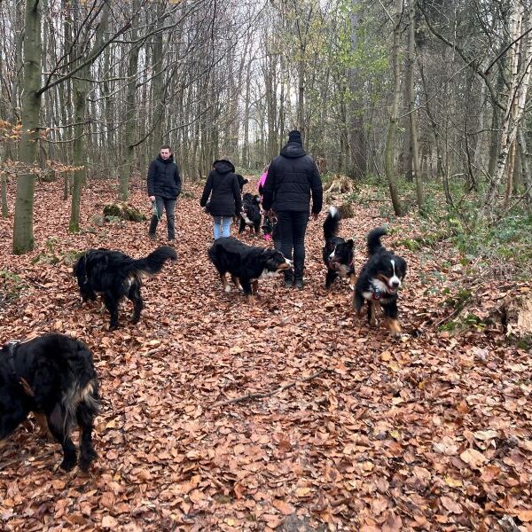 Im Dortmunder Wald spielen...