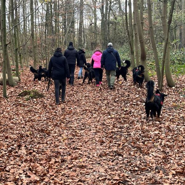 Und weiter gehts mit meinem Rudel...