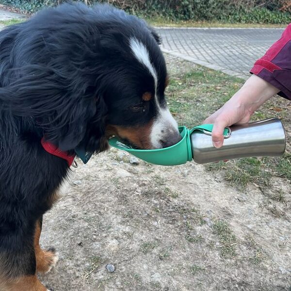 Klar macht das auch total durstig. Chefin sorgt immer vor...