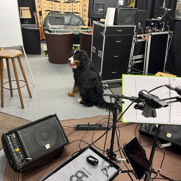 Das ist also das SOUNDs - Hmmm