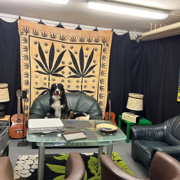 OK, die Couch ist bequem.